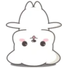 Cute White Dog 15