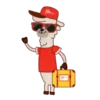 Eu te amo peru 20