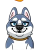 Tusky Husky 10