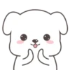 Cute White Dog 16