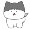 Perrito Cute (Mov) 21