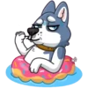 Tusky Husky 11