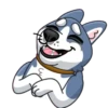 Tusky Husky 13