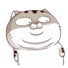 Cats1 24