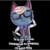 Sexy and handsome kitten 17