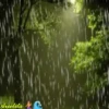 Cuando llueve 16