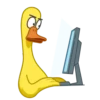Funky Yellow Goose 13