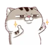 Cats1 25
