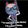 Sexy and handsome kitten 20