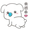 Cute White Dog 19