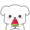Cute White Dog 20