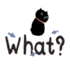 Sassy Black Cat  .MOV 19