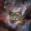 Gatitos Locos 2 25