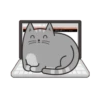 gatitos meow Mov 21