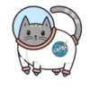 gatitos meow Mov 23