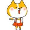 Perrito Cute 1 Movi 22