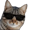 Cats1 27