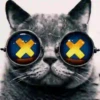 Gatitos Locos 2 26