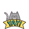 gatitos meow Mov 25