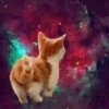 Gatitos Locos 2 27