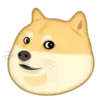 Perrito Cute 1 Movi 23