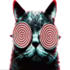 Gatinhos loucos 1 25