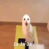 Pequeños búhos 23