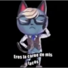 Sexy and handsome kitten 24