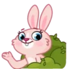Mia Bunny 22