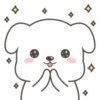 Cute White Dog 21