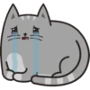 gatitos meow Mov 26