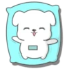 Cute White Dog 22