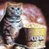 Gatitos Locos 2 28