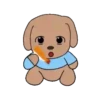 Perrito Cute 1 Movi 24