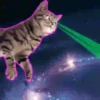 Gatinhos loucos 1 29