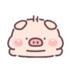 Cute little pig 6