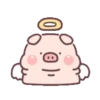 Cute little pig 7