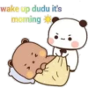 Panda 16 5