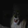 ️[HORROR FEST] 7