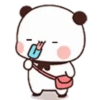 Panda 16 6