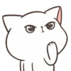 Mr. Cat  PopUp 6