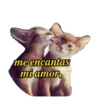 Variados✇27 Movi 8