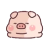 Cute little pig 9