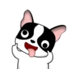 Lovely rich dog 5
