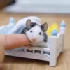 Ratas Ratitas Ratosas 16