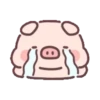 Cute little pig 11