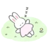 ️dressed rabbit   MOV 8