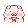 Cute little pig 12