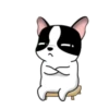 Lovely rich dog 6