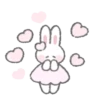 ️dressed rabbit   MOV 11